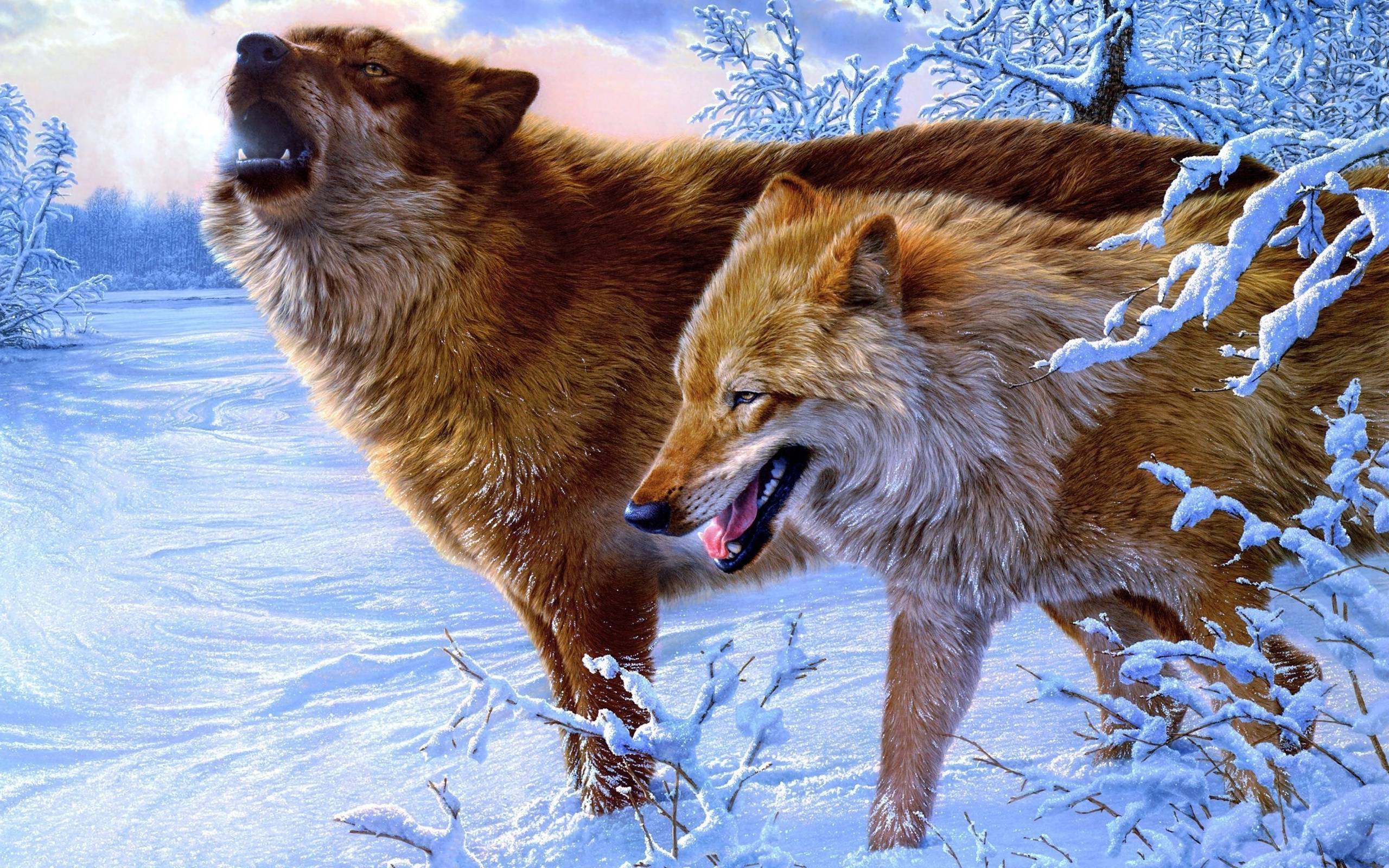 3d 4k Winter Wolf Snow Wolves Wallpaper - 4k Wolf , HD Wallpaper & Backgrounds