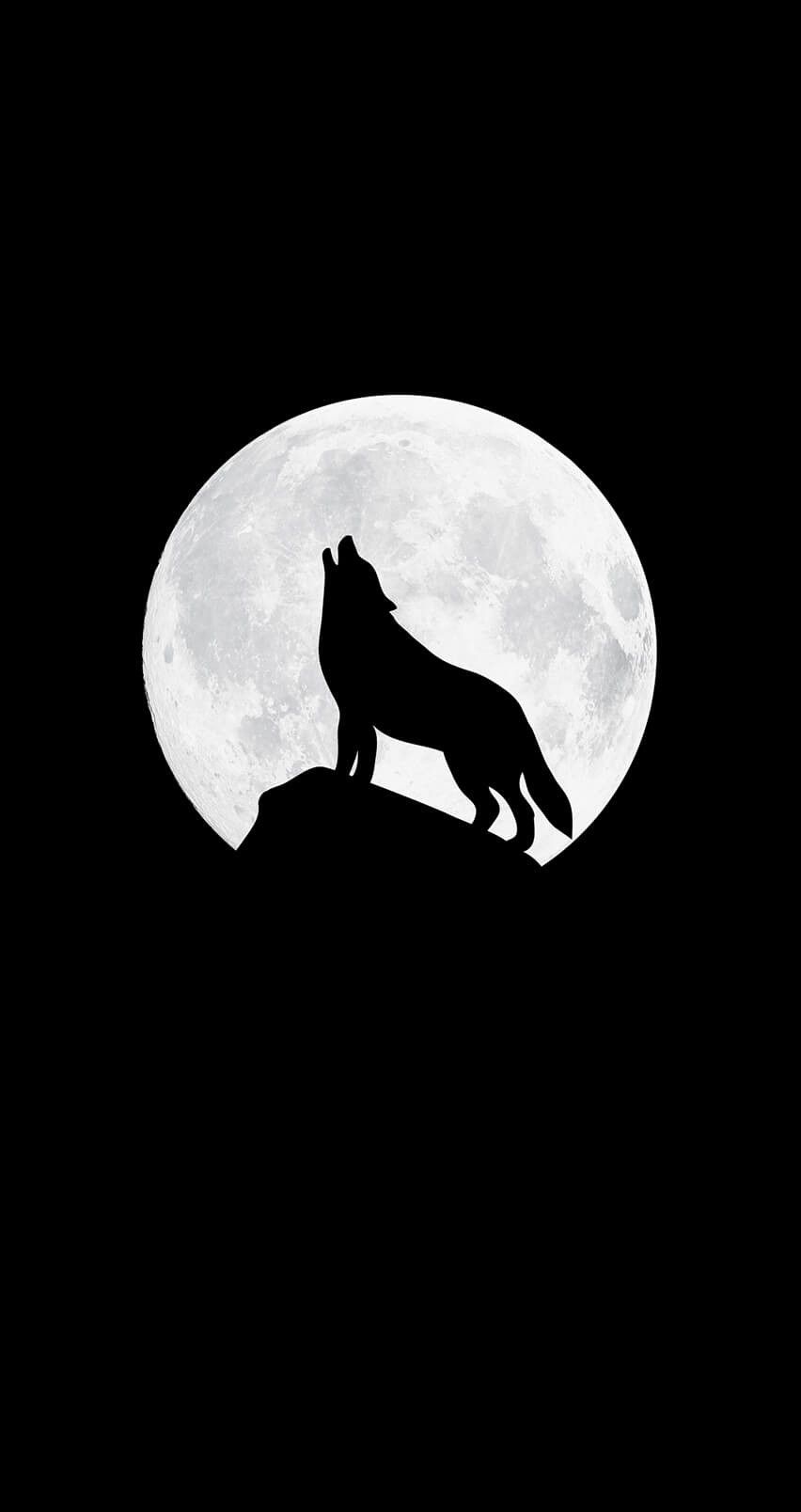 Wolf Background, Black Wallpaper Iphone Dark, Minimalist - Wolf Phone Wallpaper 4k , HD Wallpaper & Backgrounds