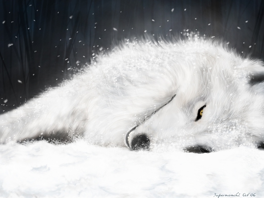 Stunning White Wolf Wallpaper - Wolf's Rain , HD Wallpaper & Backgrounds
