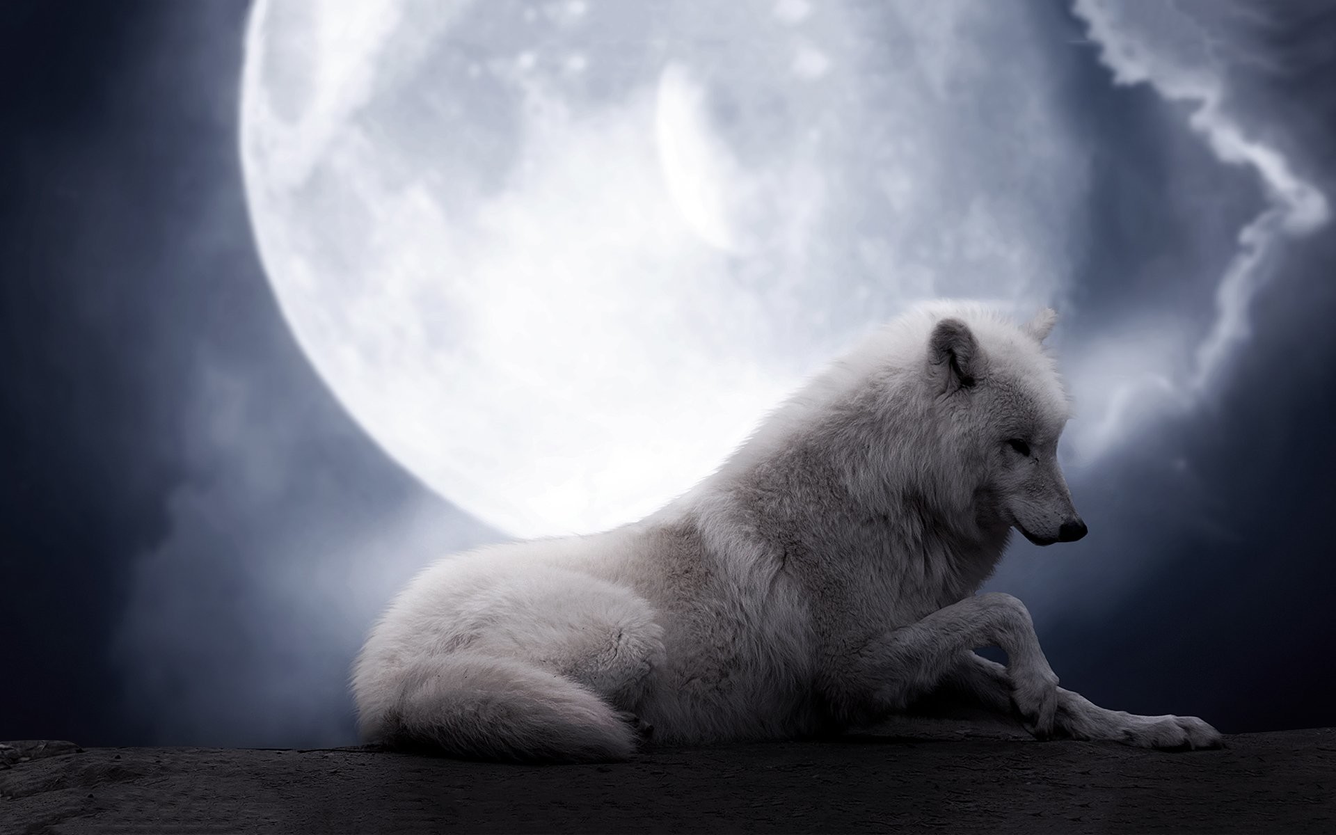 Download - White Wolf Howling At Full Moon , HD Wallpaper & Backgrounds