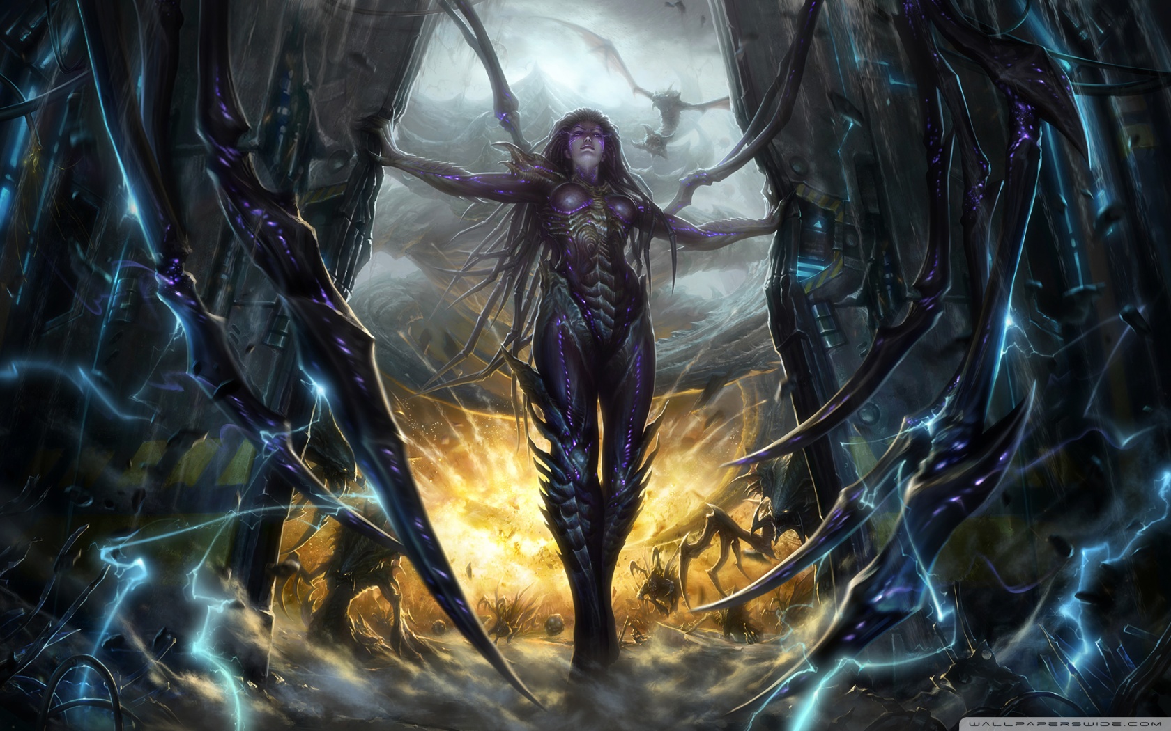 Wide 16 - - Starcraft 2 Wallpaper Kerrigan , HD Wallpaper & Backgrounds