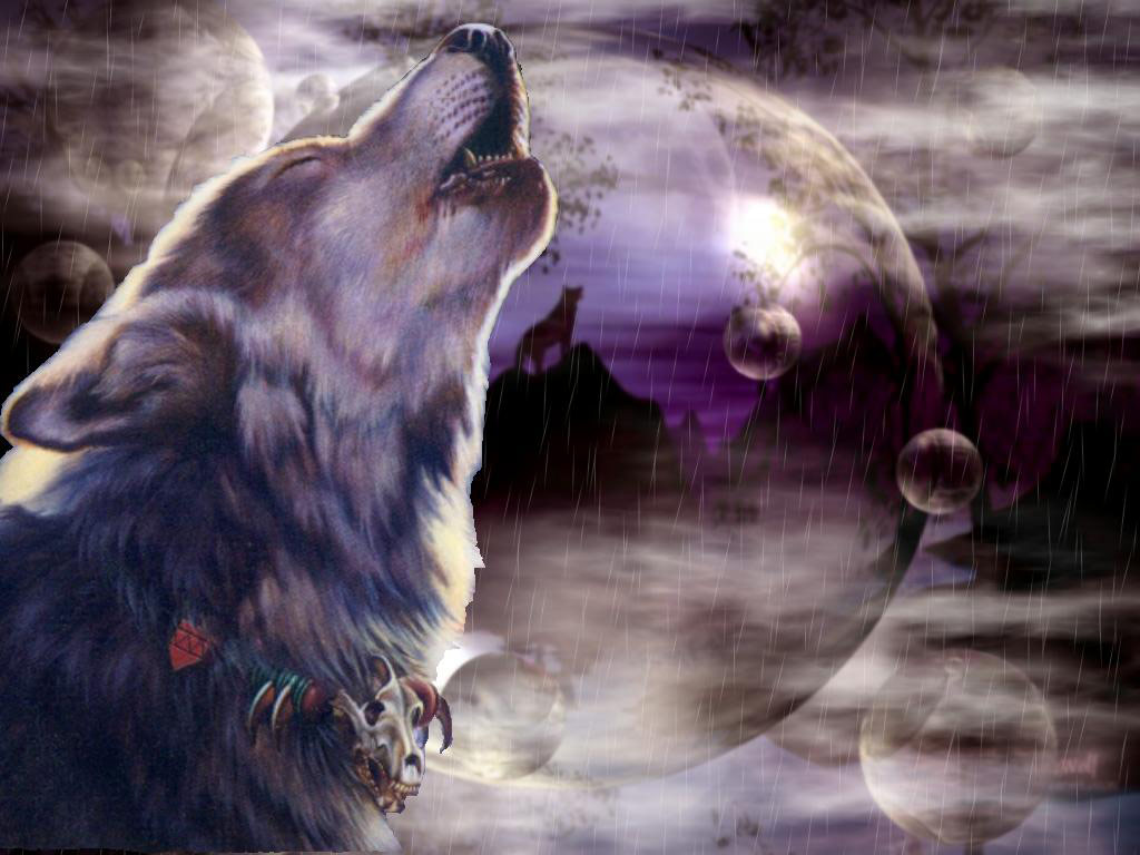 Free Wolf Wallpapers For Desktop , HD Wallpaper & Backgrounds