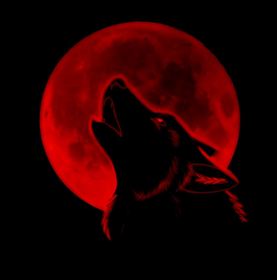 Wolf Red, Wolf, Moon, Black, Night, Wolf Black, Wolf - Blood Moon Wolf , HD Wallpaper & Backgrounds