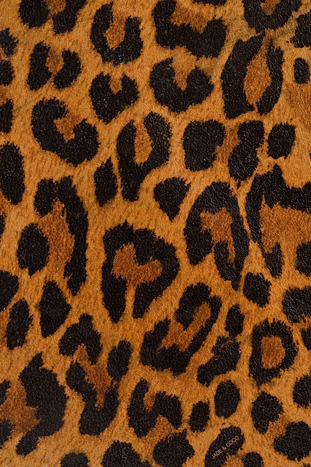 1000 Ideas About Elephant Phone Wallpaper On Pinterest - Leopard , HD Wallpaper & Backgrounds