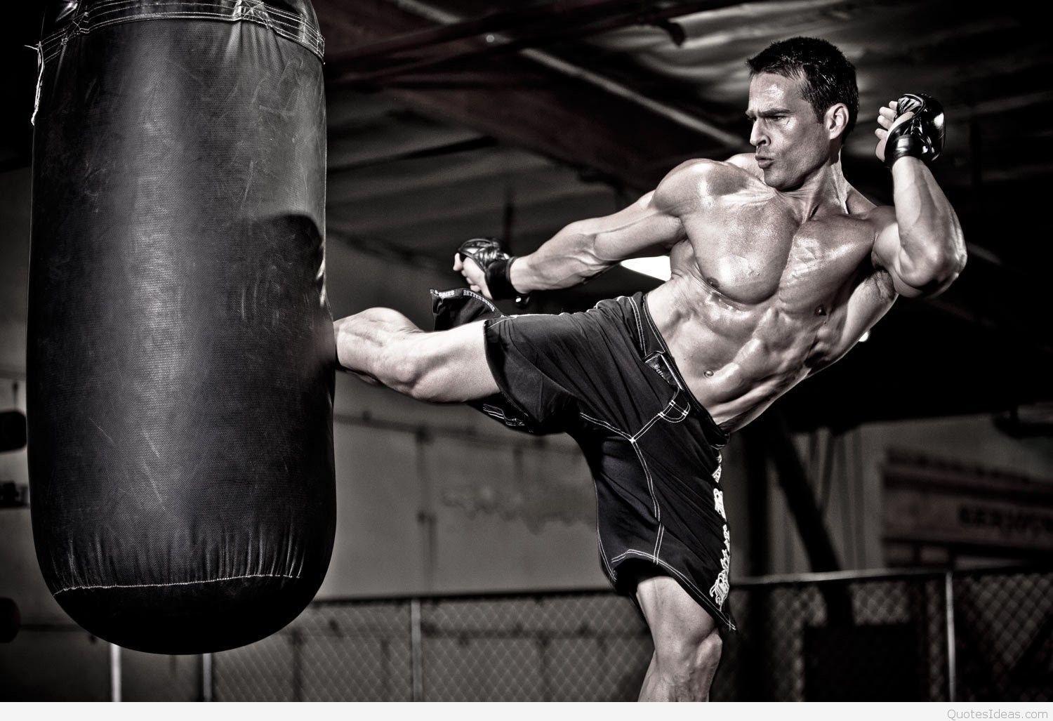 Bodybuilding Fitness Wallpapers - Fitness Bodybuilding , HD Wallpaper & Backgrounds