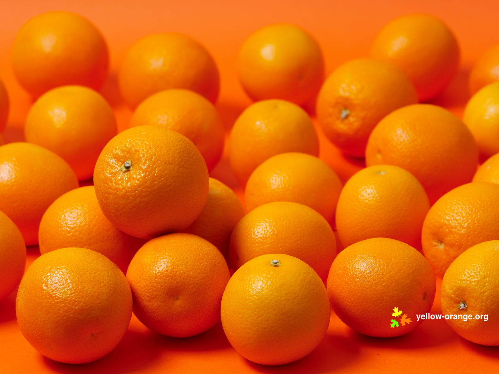 Oranges Wallpaper - Hd Wallpapers Orange Color , HD Wallpaper & Backgrounds