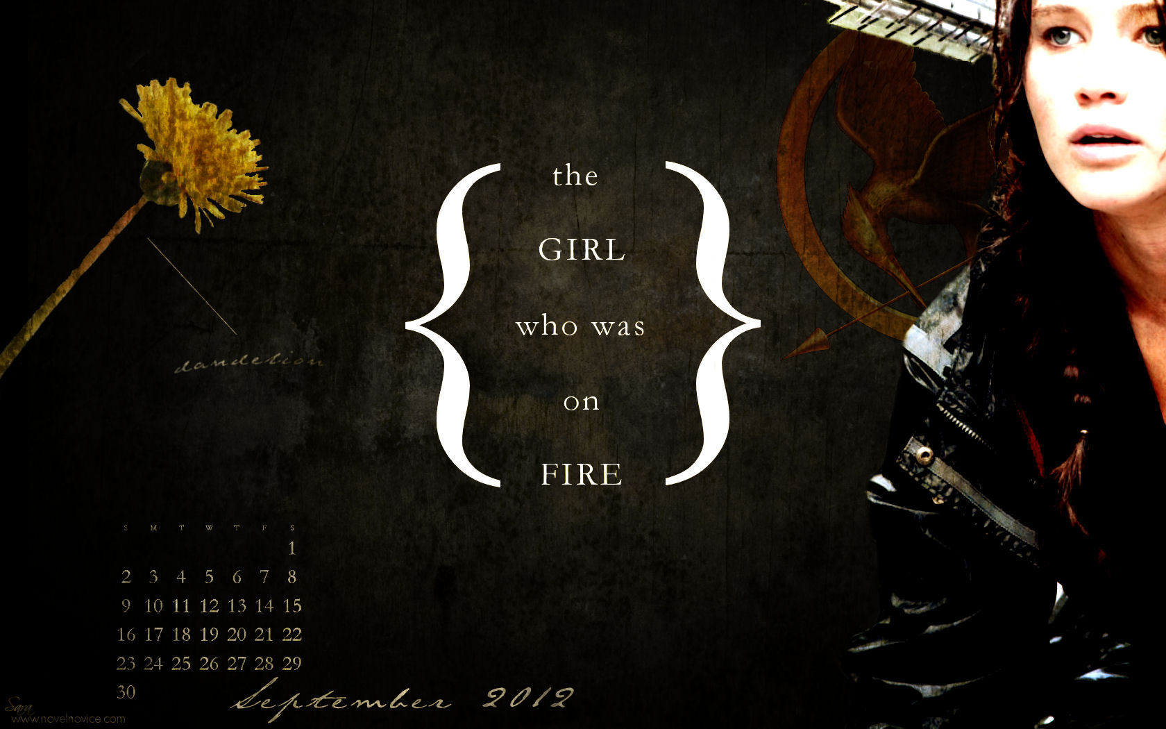 Hunger Games Computer Background 374097 Hd Wallpaper