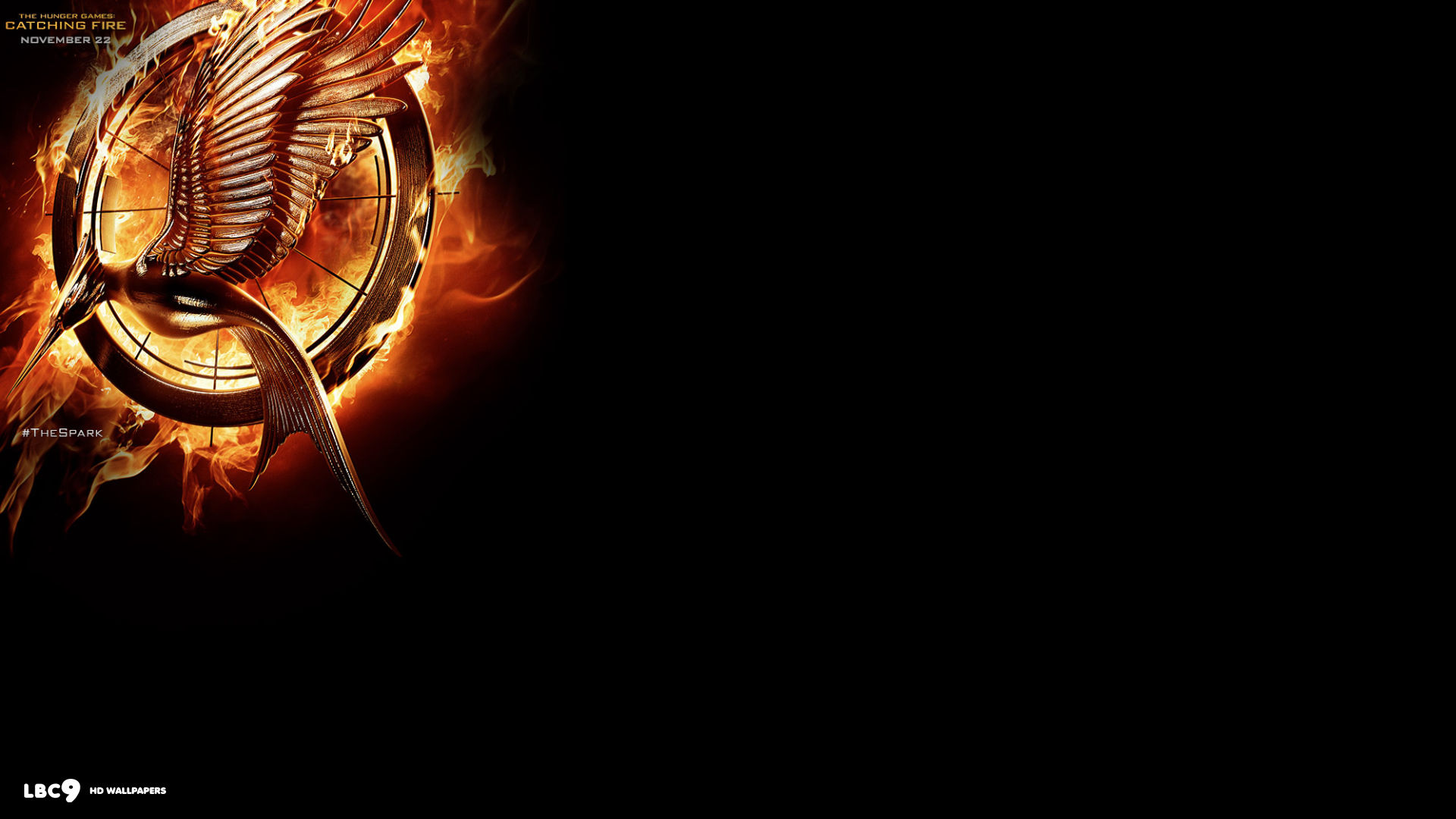 82 Entries In The Hunger Games Wallpapers Group - Hunger Games Catching Fire Background , HD Wallpaper & Backgrounds