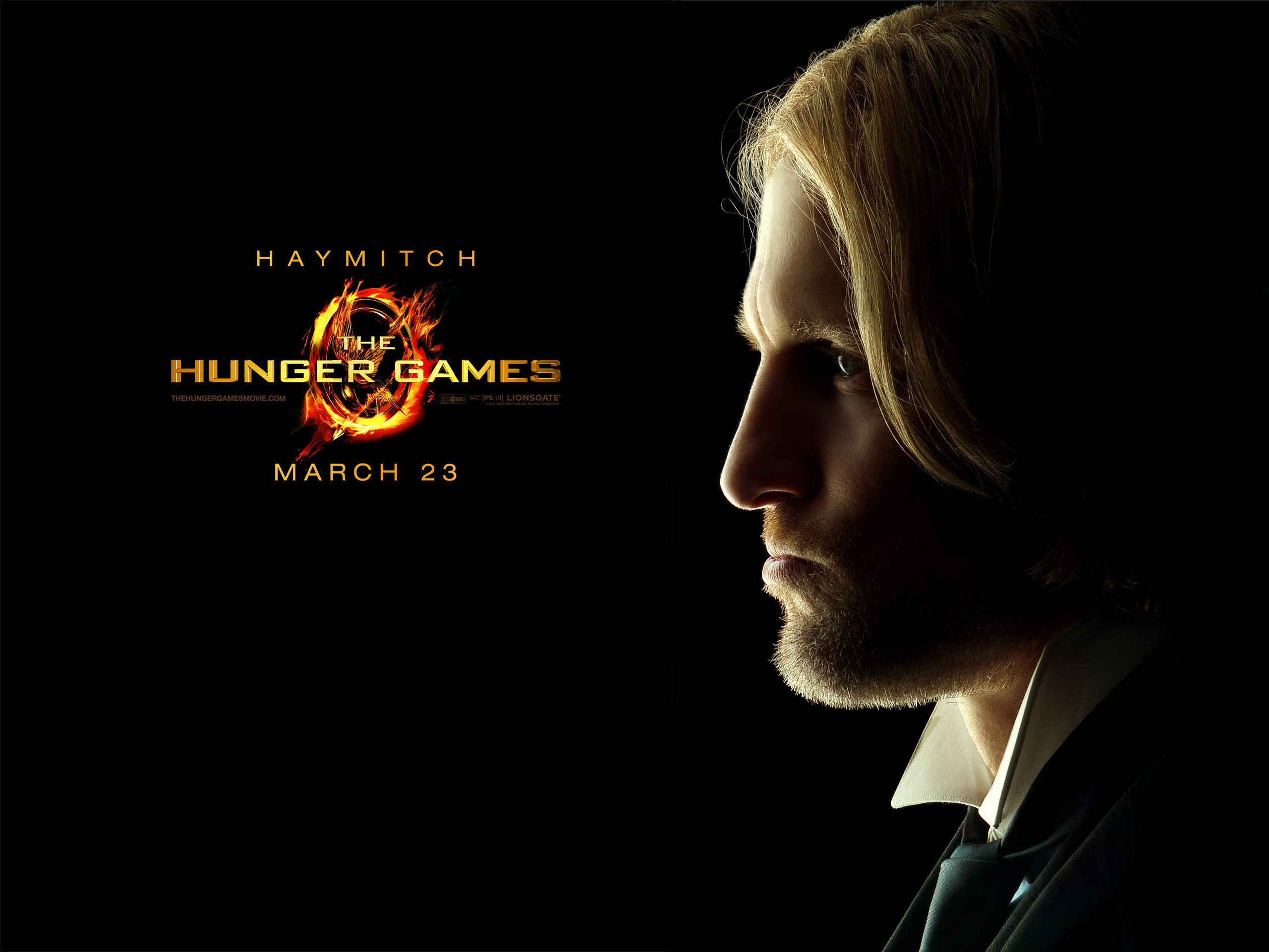 Hunger Games , HD Wallpaper & Backgrounds
