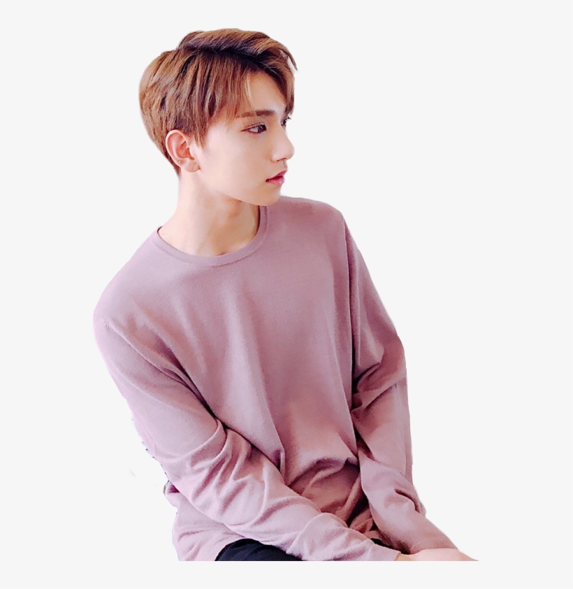 Svg Free Kpop Report Abuse - Seventeen Joshua , HD Wallpaper & Backgrounds