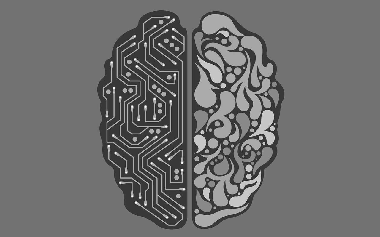 Artificial Intelligence, Ai, Robot - Half Human Half Robot Brain , HD Wallpaper & Backgrounds