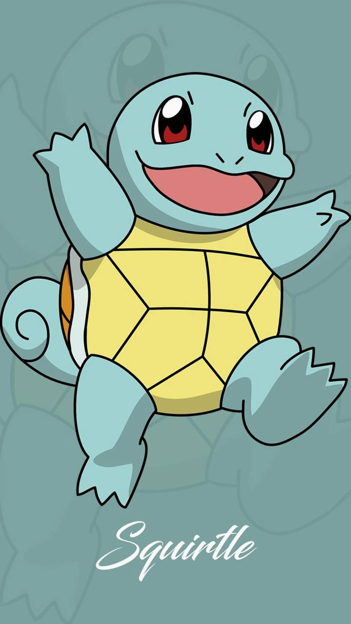 squirtle wallpaper pokemon squirtle.