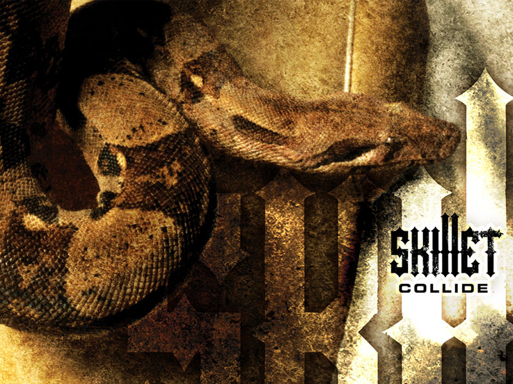 This Image Is Bigger Than What You See, Just Click - Skillet Collide Album Cover , HD Wallpaper & Backgrounds