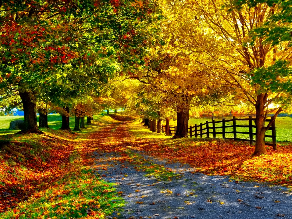 Fall Wallpaper - Beautiful Fall , HD Wallpaper & Backgrounds