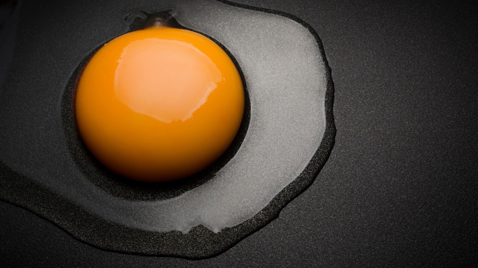 Egg Photography , HD Wallpaper & Backgrounds