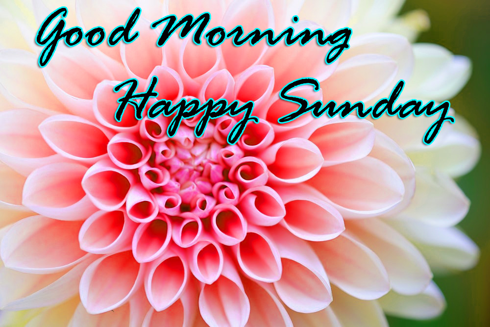 Sunday Good Morning Images Photo Pic Free Download - Good Morning Images Sunday , HD Wallpaper & Backgrounds