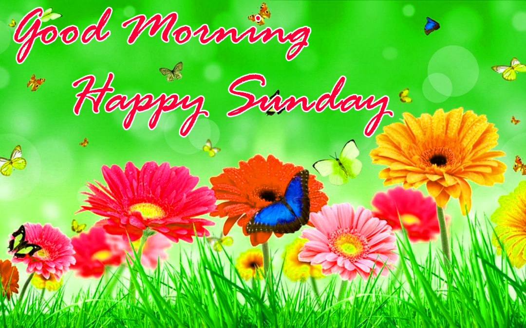 Sunday Good Morning Images Wallpaper Pics Hd Download - Sunday Good Morning , HD Wallpaper & Backgrounds