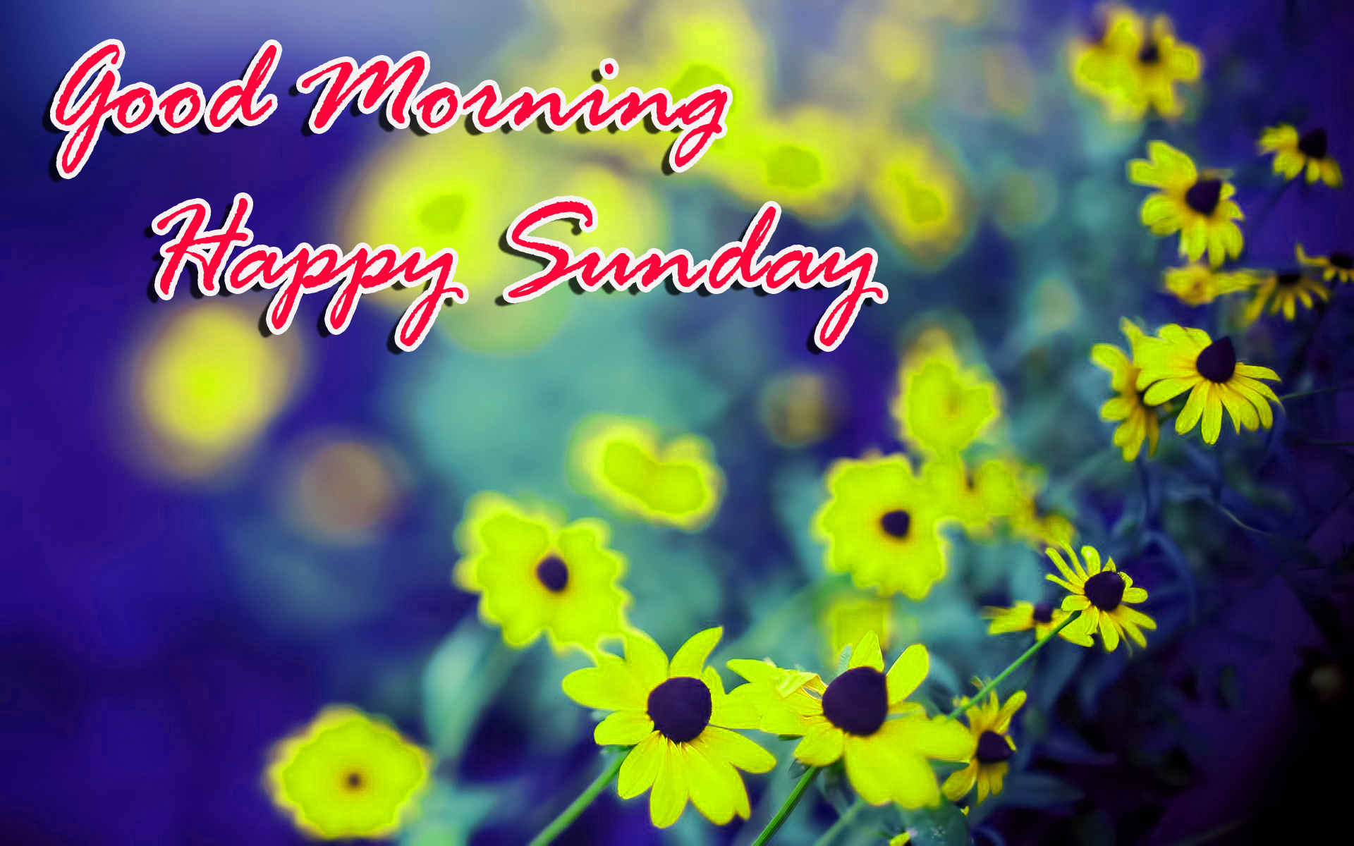 Sunday Good Morning Wallpaper Pictures Pics Download - Chara I Do Love You Meme , HD Wallpaper & Backgrounds
