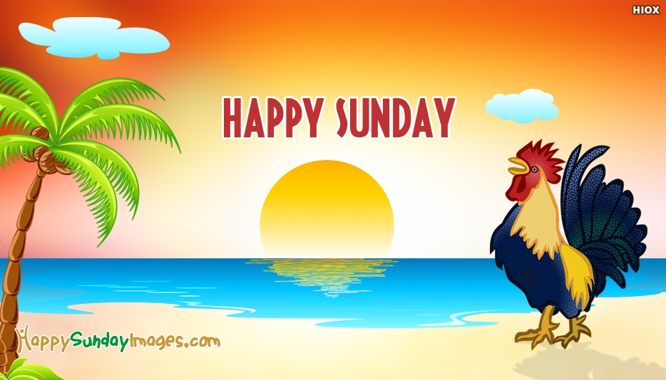 Happy Sunday Hen Wallpaper - Sunday Images With Hen , HD Wallpaper & Backgrounds