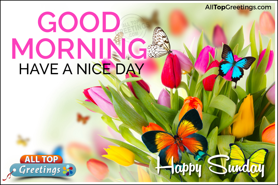 Sunday Wallpapers 378549 Hd Wallpaper Backgrounds Download