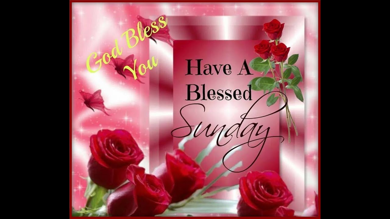 Happy Sunday Greetings Quotes Sms Wishes Saying E Card - Good Morning Happy Sunday Flowers , HD Wallpaper & Backgrounds