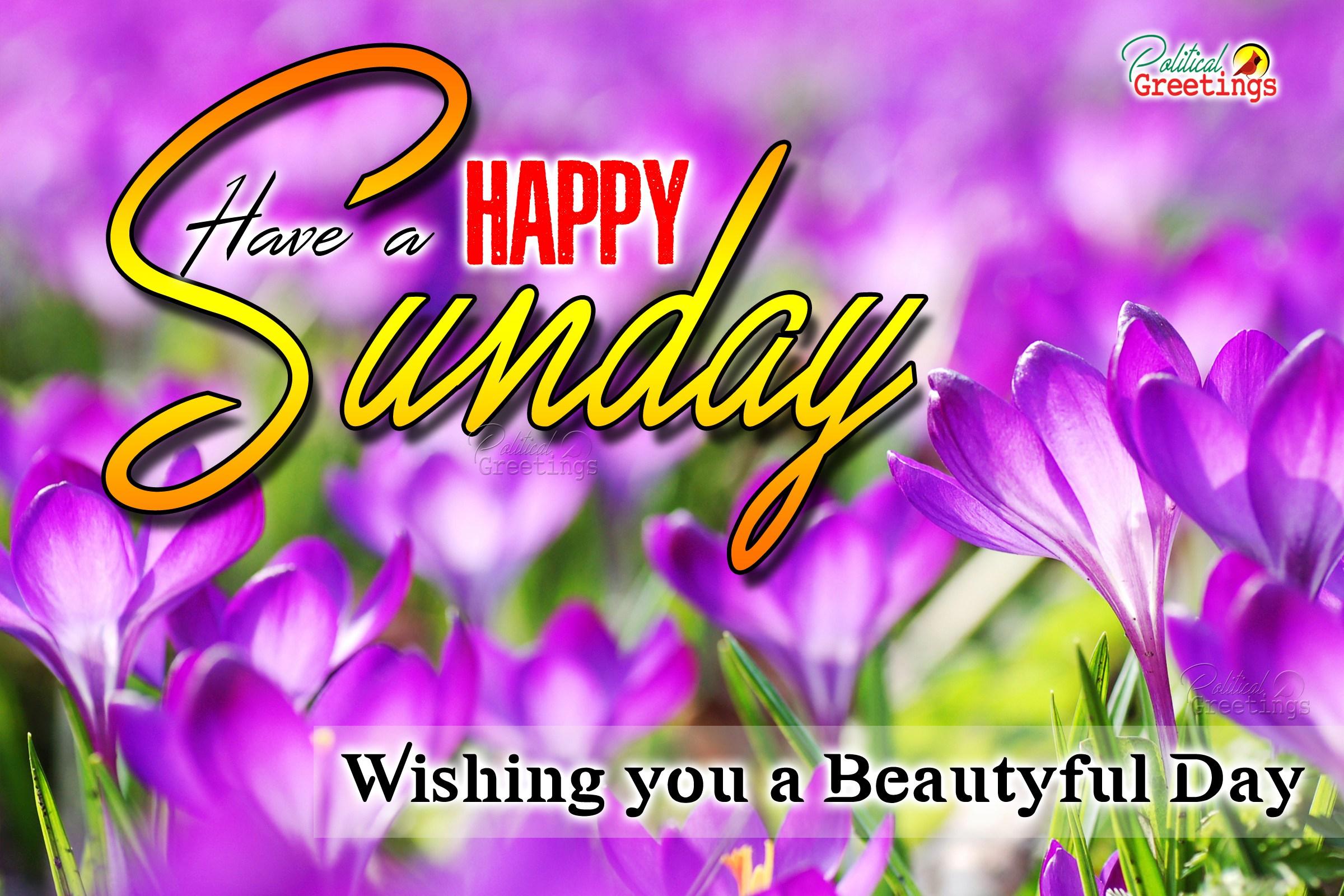 Happy Sunday Wallpaper Download - Mobile Wallpapers Flowers Hd , HD Wallpaper & Backgrounds