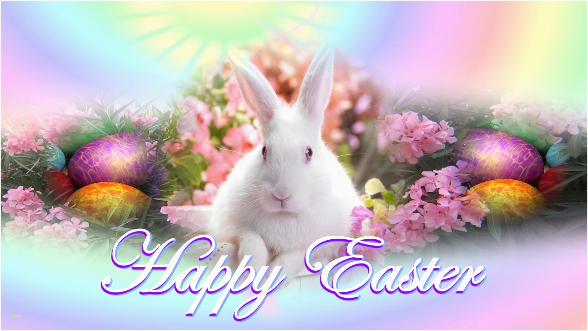 Easter Wallpaper Fresh Happy Easter Sunday Wallpaper - Happy Easter Bunny 2019 , HD Wallpaper & Backgrounds