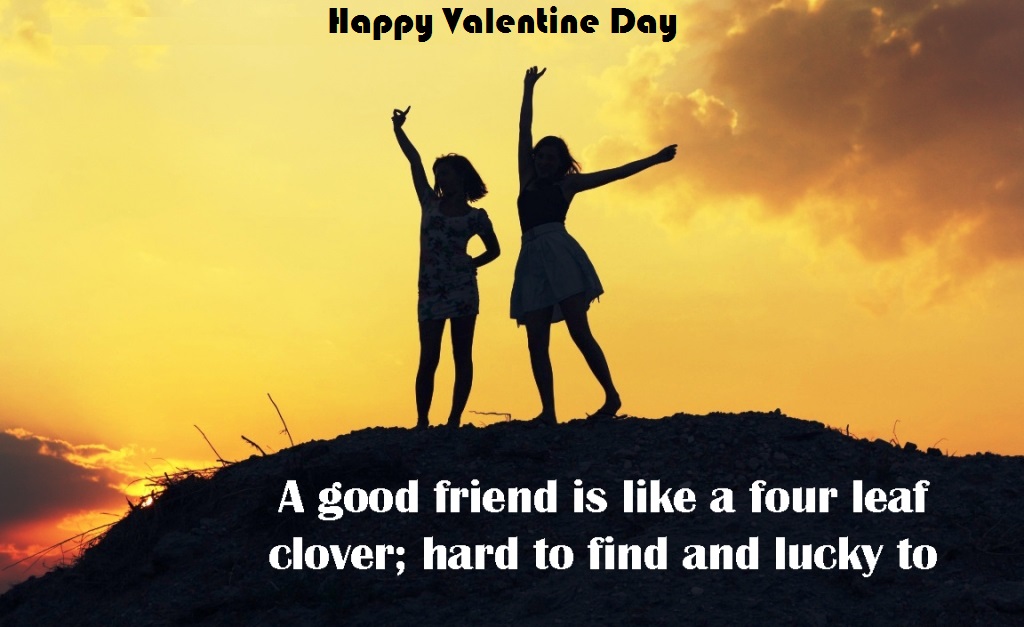 Download Valentines Day Images For Whatsapp Dp Profile - Met Old Friends Quotes , HD Wallpaper & Backgrounds