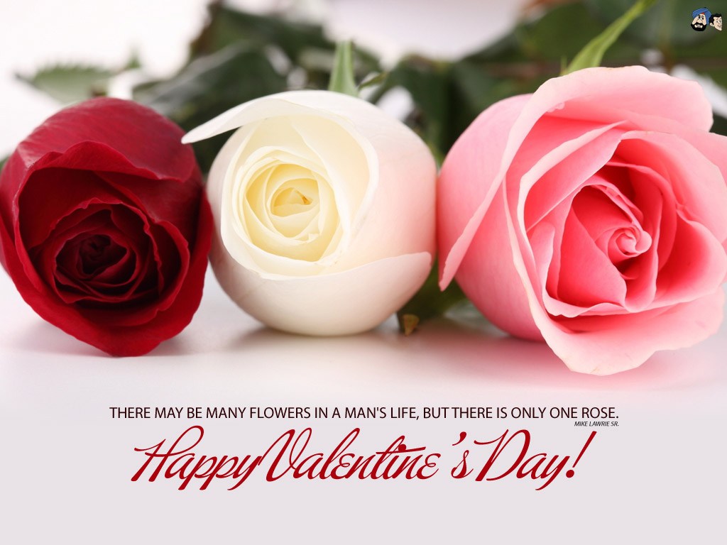 Valentines Day Images, Gif, Hd Wallpapers, 3d Photos - New Year Greetings Flowers , HD Wallpaper & Backgrounds