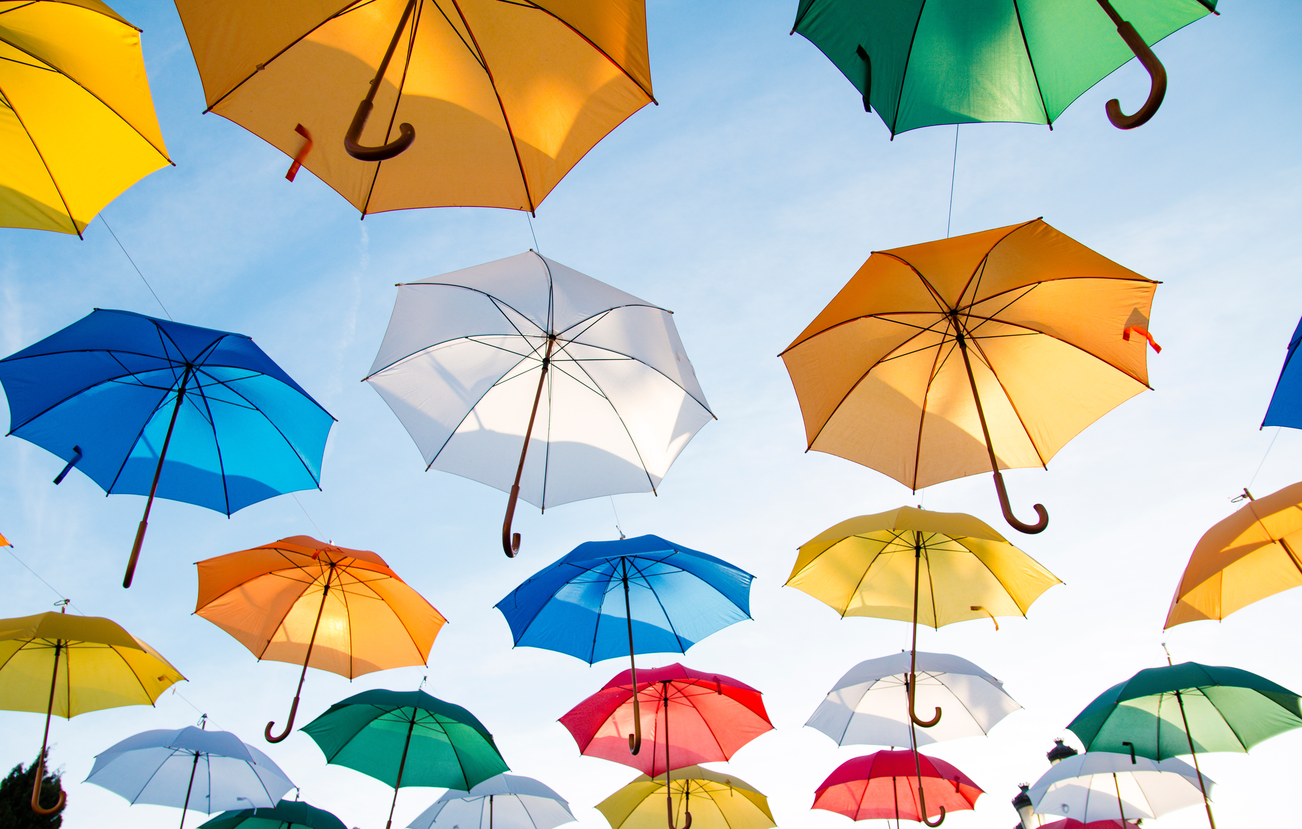 Download Umbrellas Hd Wallpaper Wallpaper For Mobile - Umbrella Wallpaper Hd , HD Wallpaper & Backgrounds