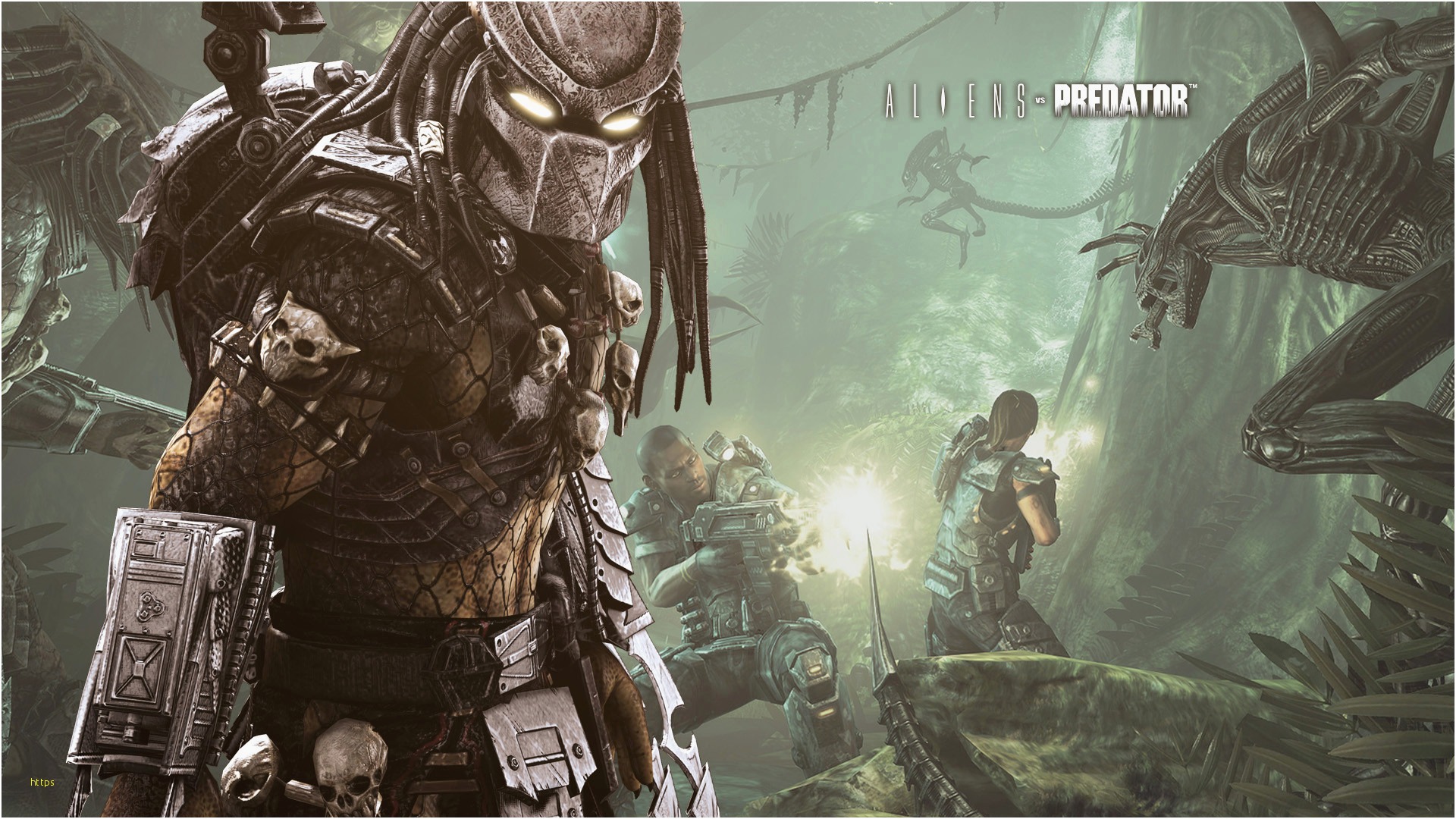 Aliens Vs. Predator (2010) - Forums - Site Layout - Speedrun