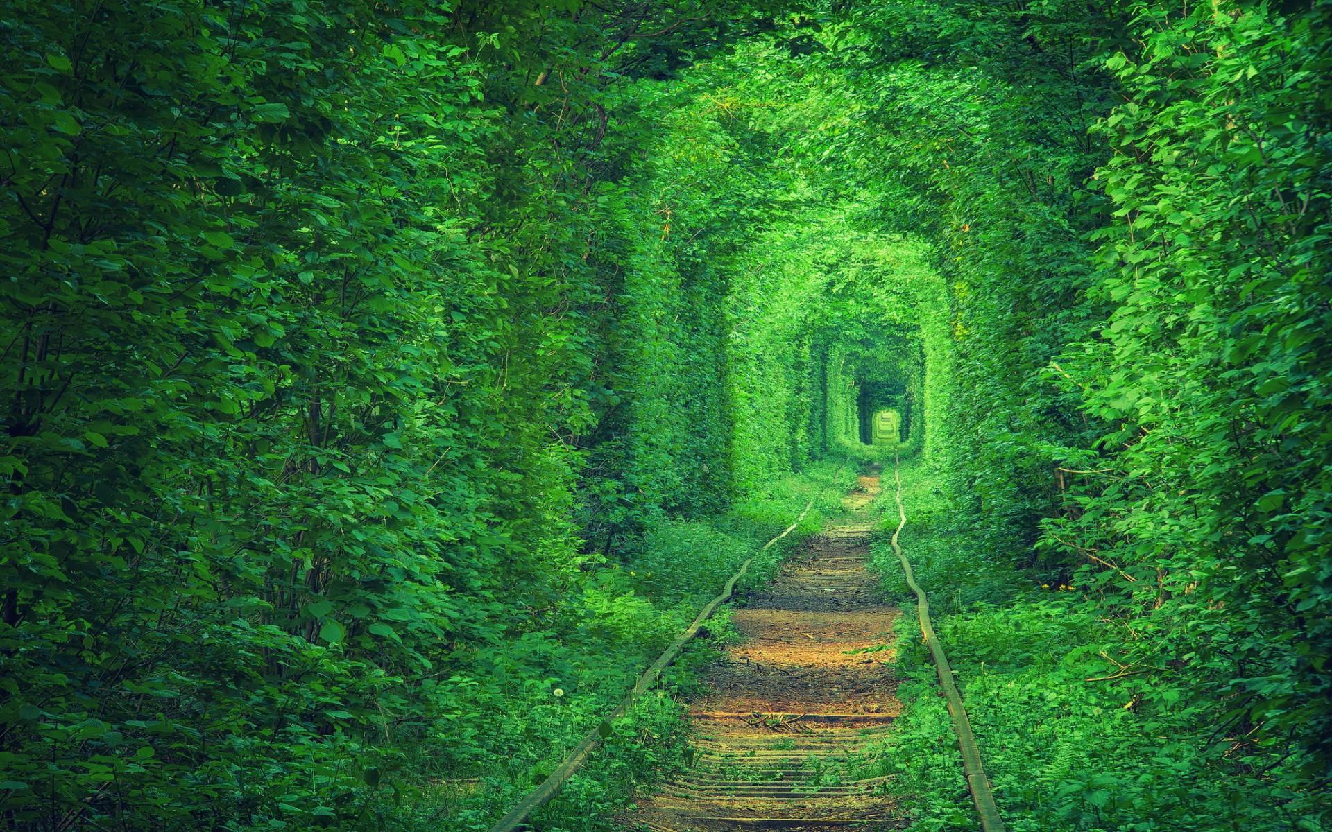 Green Background - Tunnel Of Love Ukraine , HD Wallpaper & Backgrounds