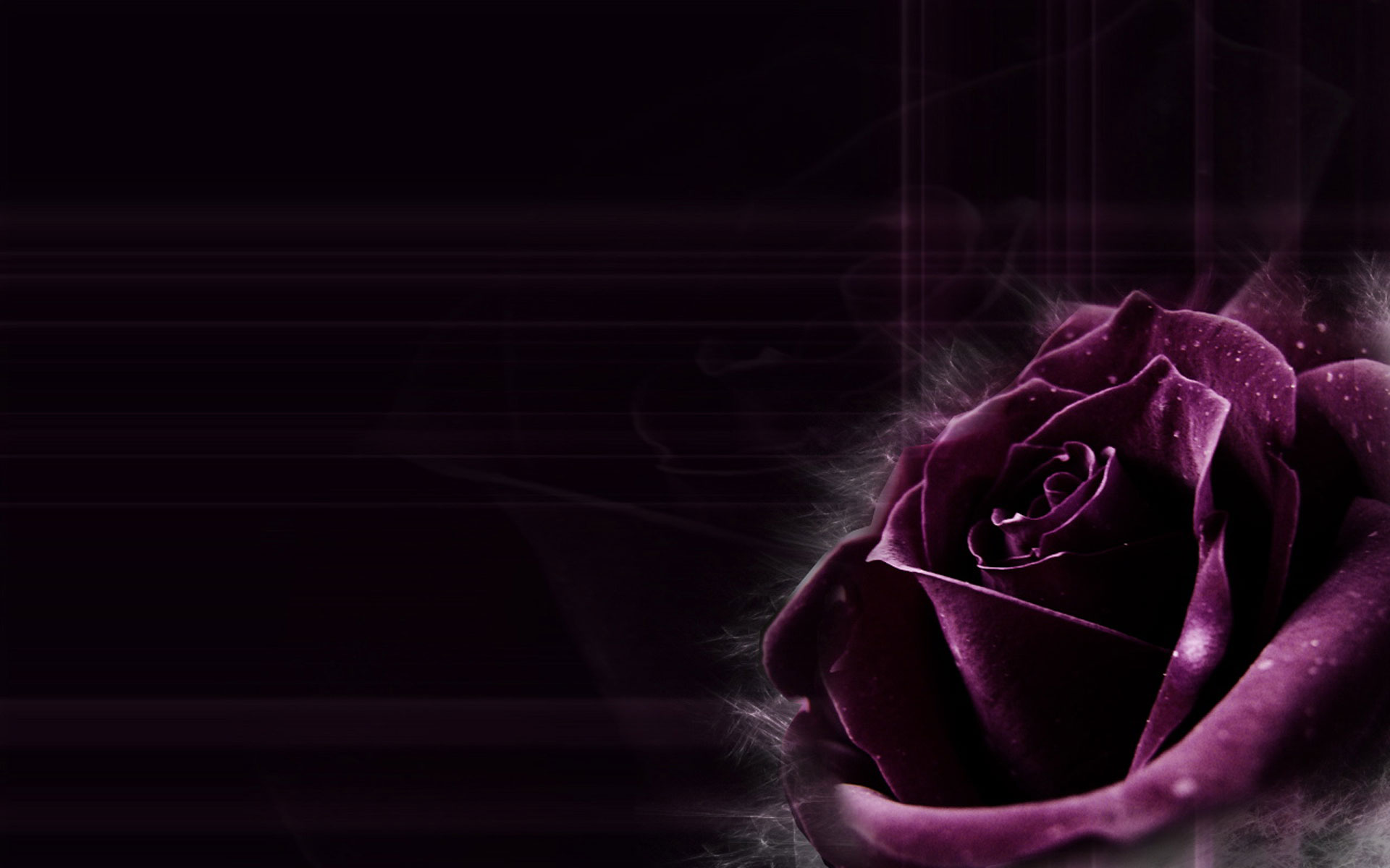 Black - Dark Purple Abstract Backgrounds , HD Wallpaper & Backgrounds