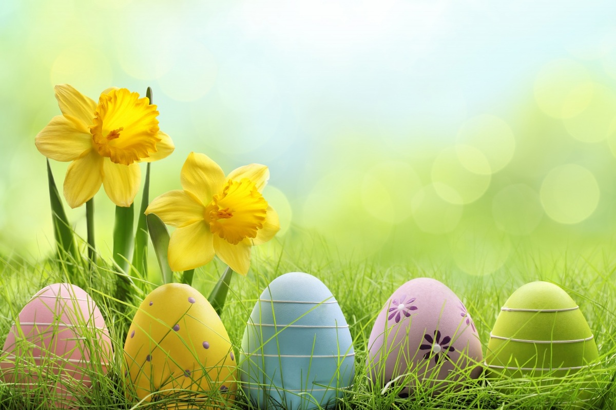 The Best Wallpaper Home Screen For Iphone, Phone, Laptop - Cute Easter , HD Wallpaper & Backgrounds