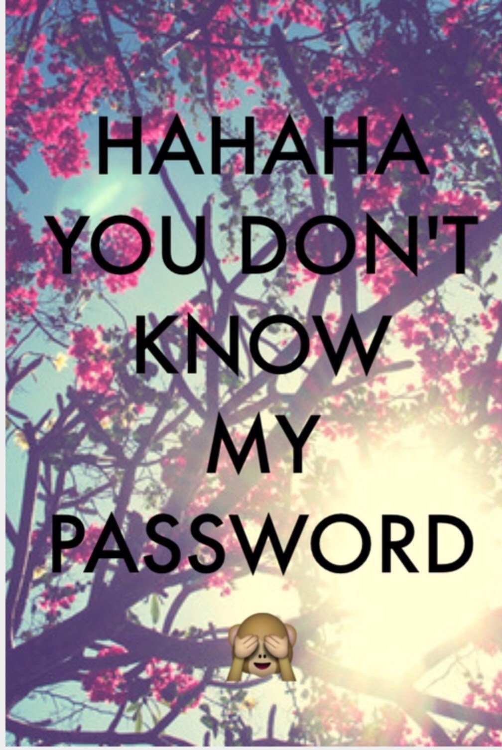 Haha You Don T Know My Password Wallpaper