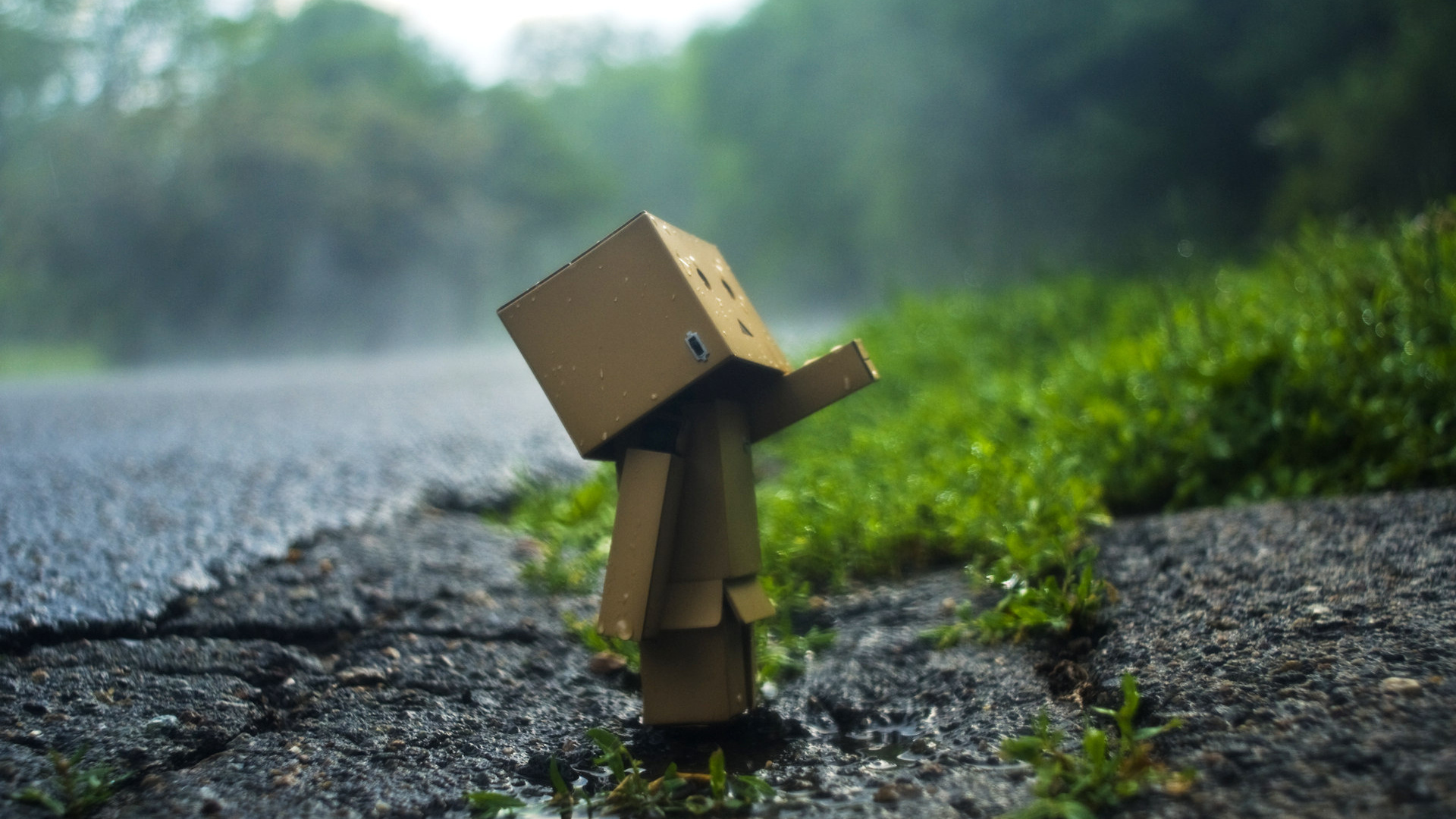 Danbo Hd Wallpaper - My Desktop Windows 7 , HD Wallpaper & Backgrounds