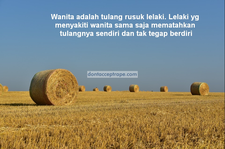 40 Kumpulan Gambar Kata Kata Romantis Terindah Penuh - Agriculture , HD Wallpaper & Backgrounds