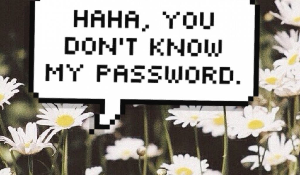 Haha You Don'-t Know My Password Wallpaper - Jimin Dont Touch My Wife Phone , HD Wallpaper & Backgrounds