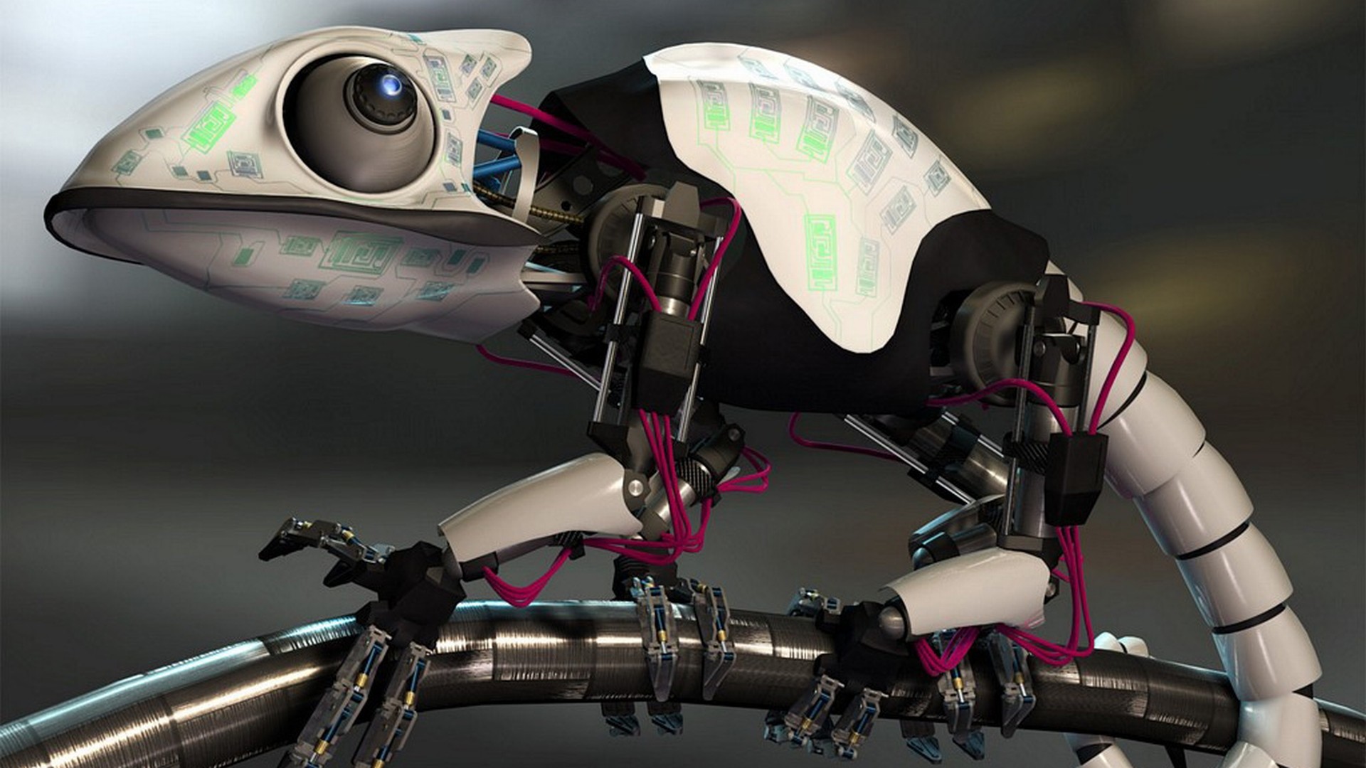 Robot Wallpaper Hd 3453 Hd Wallpaper Backgrounds Download Robot Wallpaper Hd 3453 Hd Wallpaper Backgrounds Download