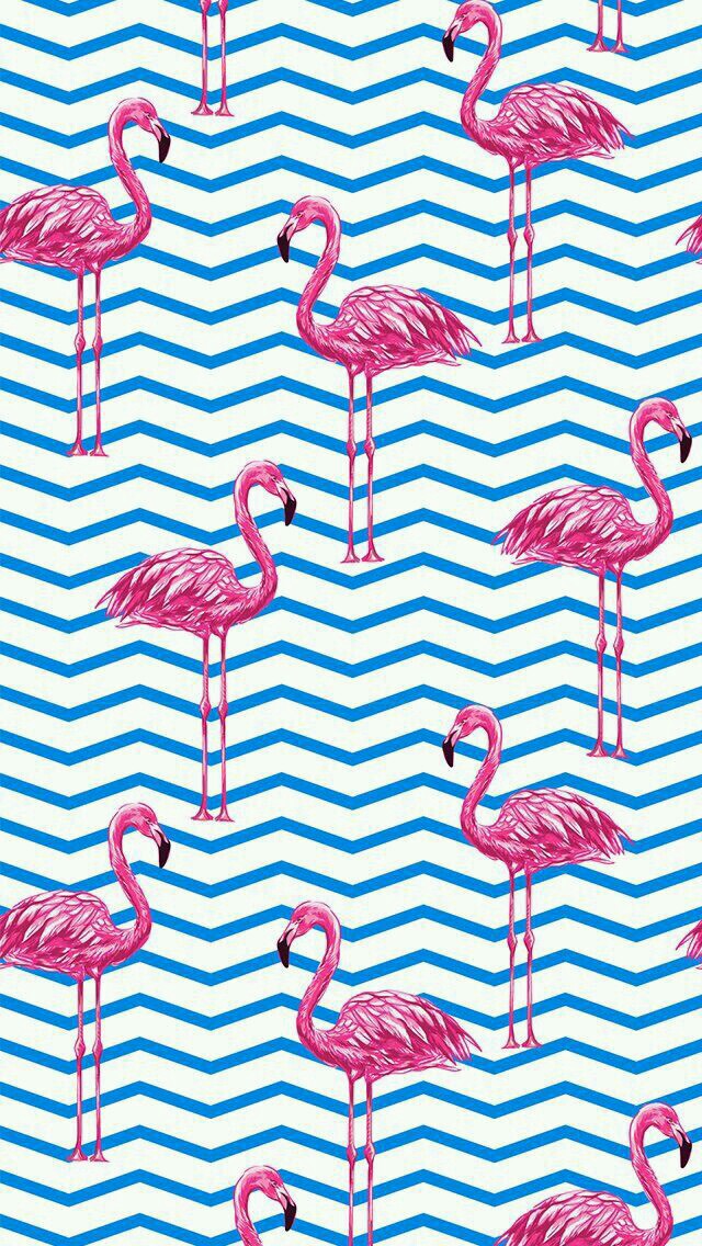 Flamingo Wallpaper Pink And Blue , HD Wallpaper & Backgrounds
