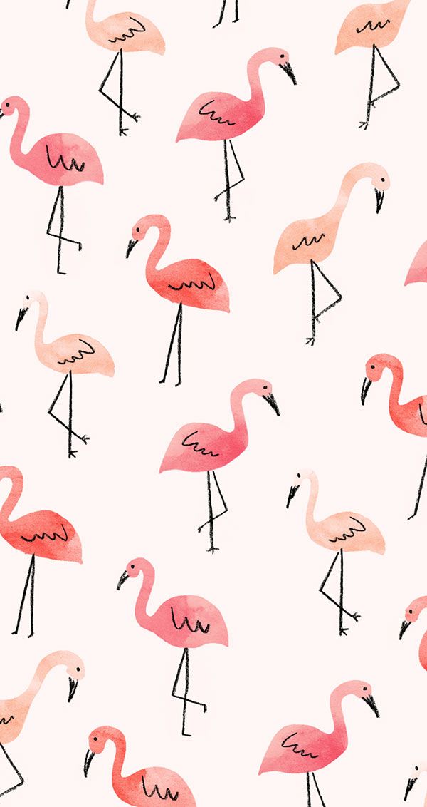 Flamingo Iphone Wallpaper From Laurenconrad - Flamingo Backgrounds , HD Wallpaper & Backgrounds