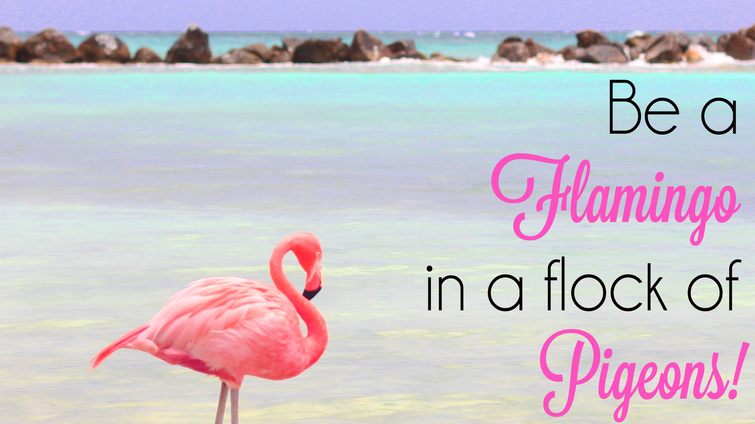 Free Pink Flamingo Computer Wallpaper Be A Flamingo Flamingo In A Flock Of Pigeons Meaning 3608 Hd Wallpaper Backgrounds Download