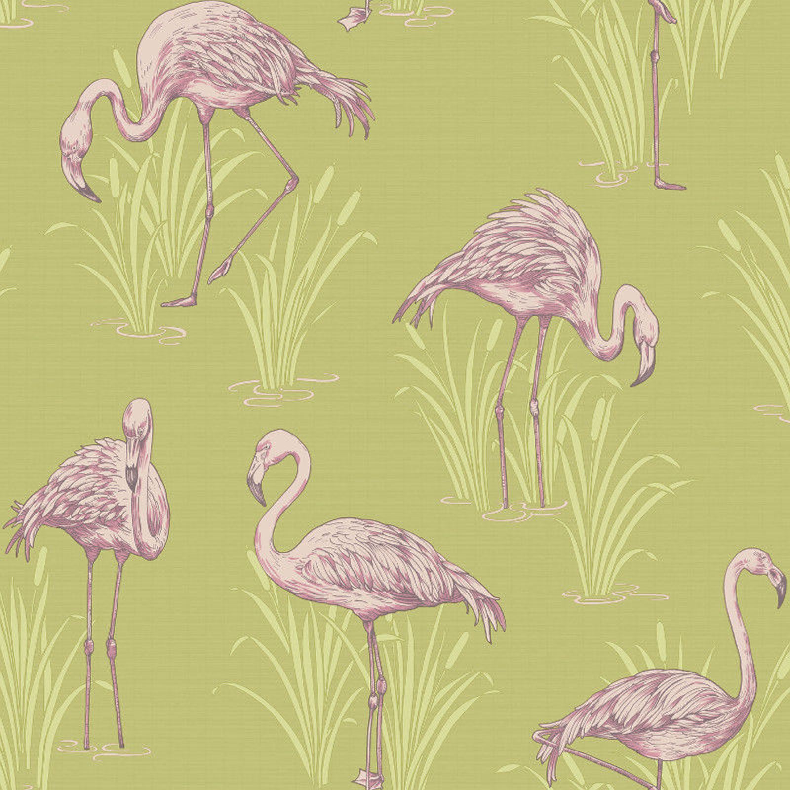 Lagoon Flamingo Wallpaper Green & Pink - Wallpaper , HD Wallpaper & Backgrounds