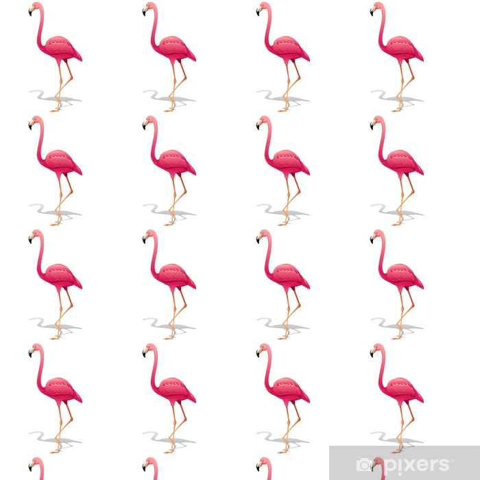Pink Flamingo Fenicottero Rosa Vector Vinyl Custom - Greater Flamingo , HD Wallpaper & Backgrounds