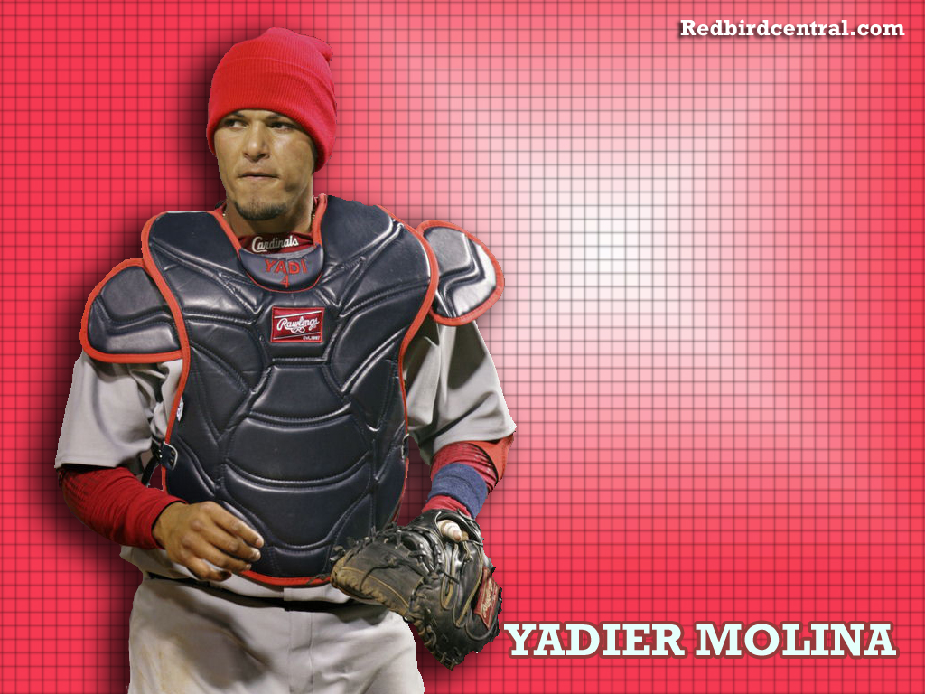 Redbirdcentralcom St Louis Cardinals Wallpaper Yadier - Yadier Molina Sad , HD Wallpaper & Backgrounds