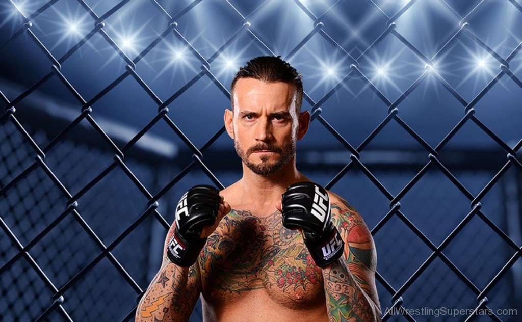 Cm Punk Wallpaper-wl1073 - Cage Fight , HD Wallpaper & Backgrounds