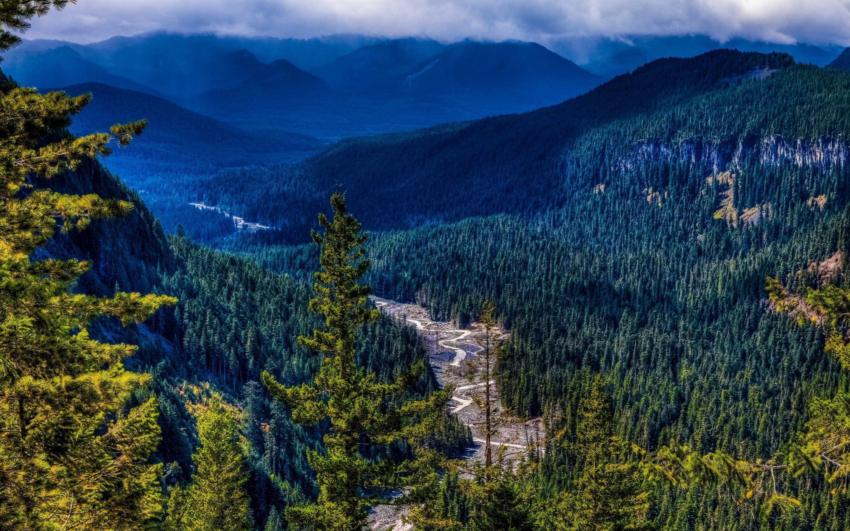 Bosque Montaa, Naturaleza, Mobile Wallpapers, Horror, - Washington State Background 4k , HD Wallpaper & Backgrounds