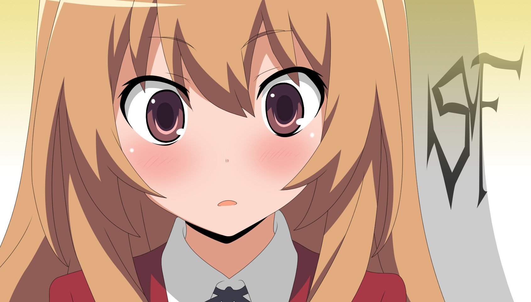4 - Confused Taiga , HD Wallpaper & Backgrounds
