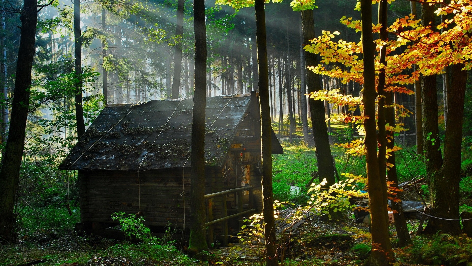 Forest House Wallpapers And Stock Photos - Casa En El Bosque , HD Wallpaper & Backgrounds