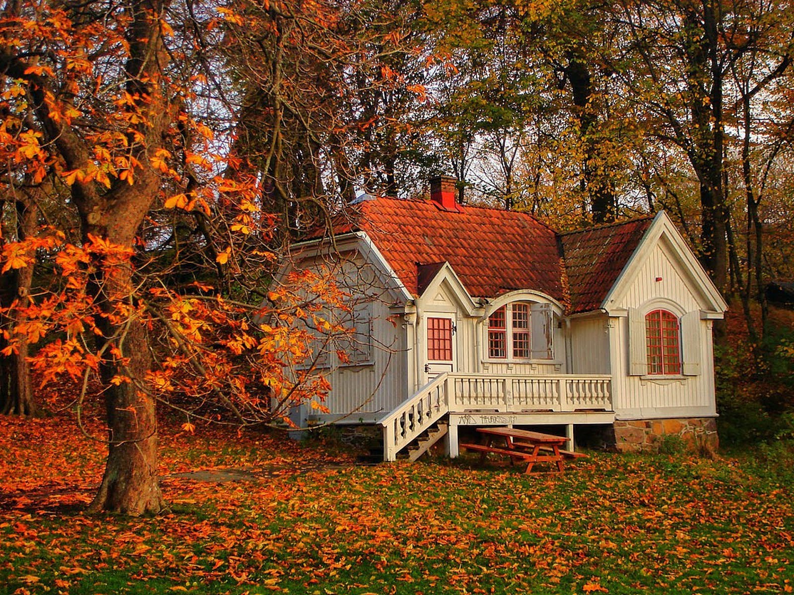 Casita En El Bosque Durante El Otoño - Cabin In The Fall Woods , HD Wallpaper & Backgrounds